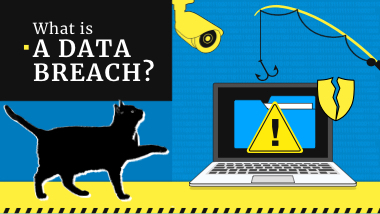 What is a Data Breach? Definition & Examples in 2023. | Gridinsoft